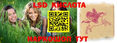 стафф Новодвинск