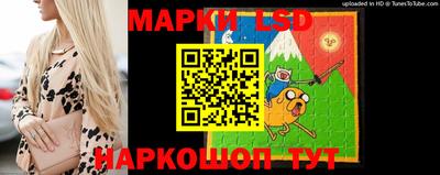 винт Новозыбков