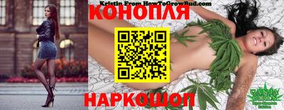стафф Новодвинск