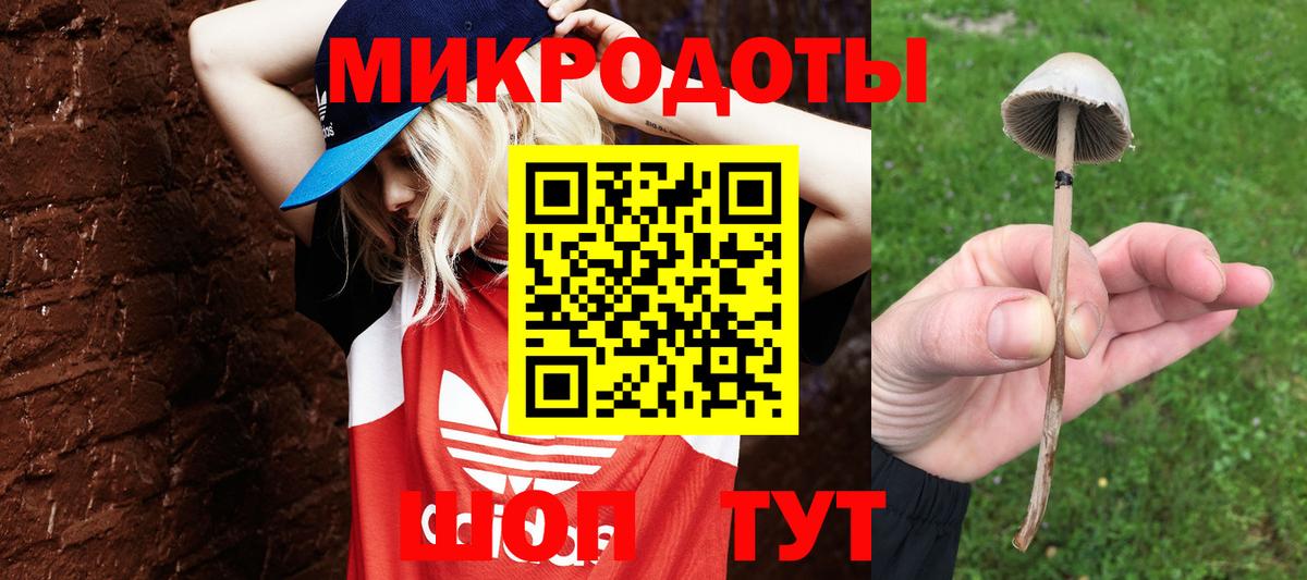 Ульяновск  Псилоцибиновые грибы ЛСД  Вход с VPN 
